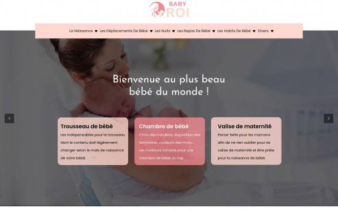 https://www.babyroi.fr